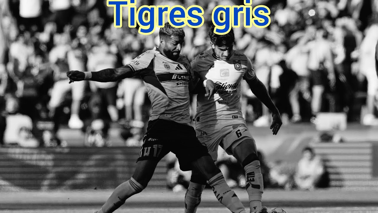 Resumen tigres vs queretaro