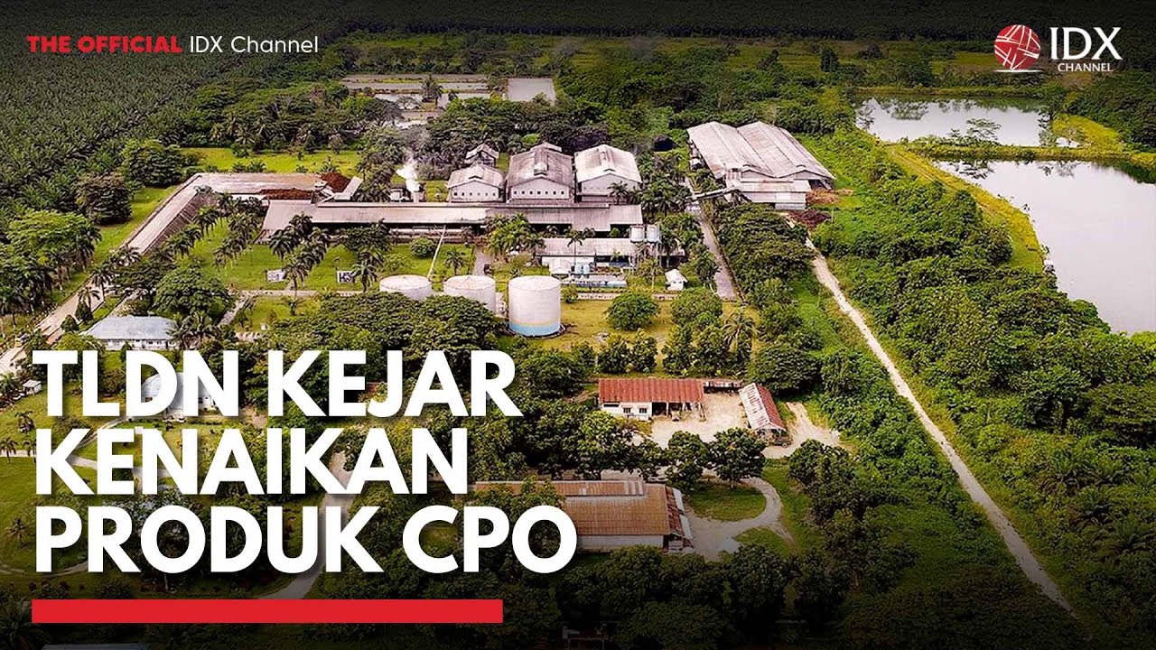 TLDN Kejar Kenaikan Produk CPO | IDX CHANNEL