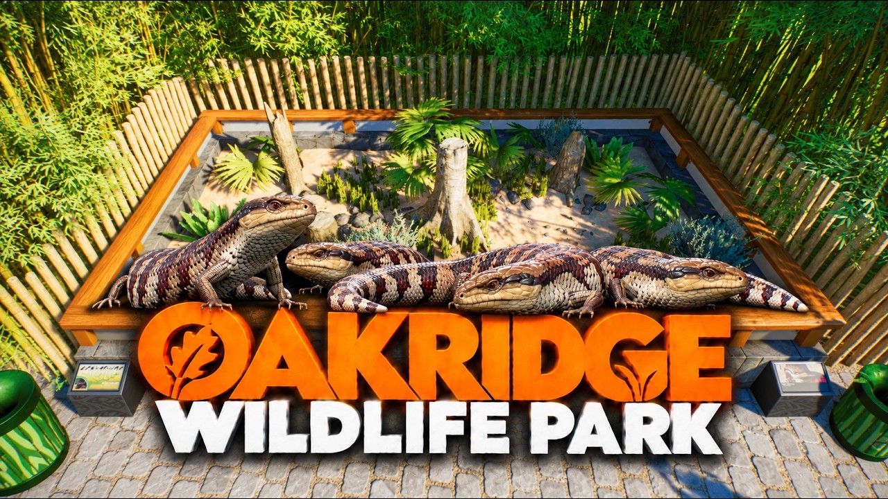 REALISTIC Blue-Tongue Exhibit! + Zoo Update | Planet Zoo 2 Franchise Mode🌍