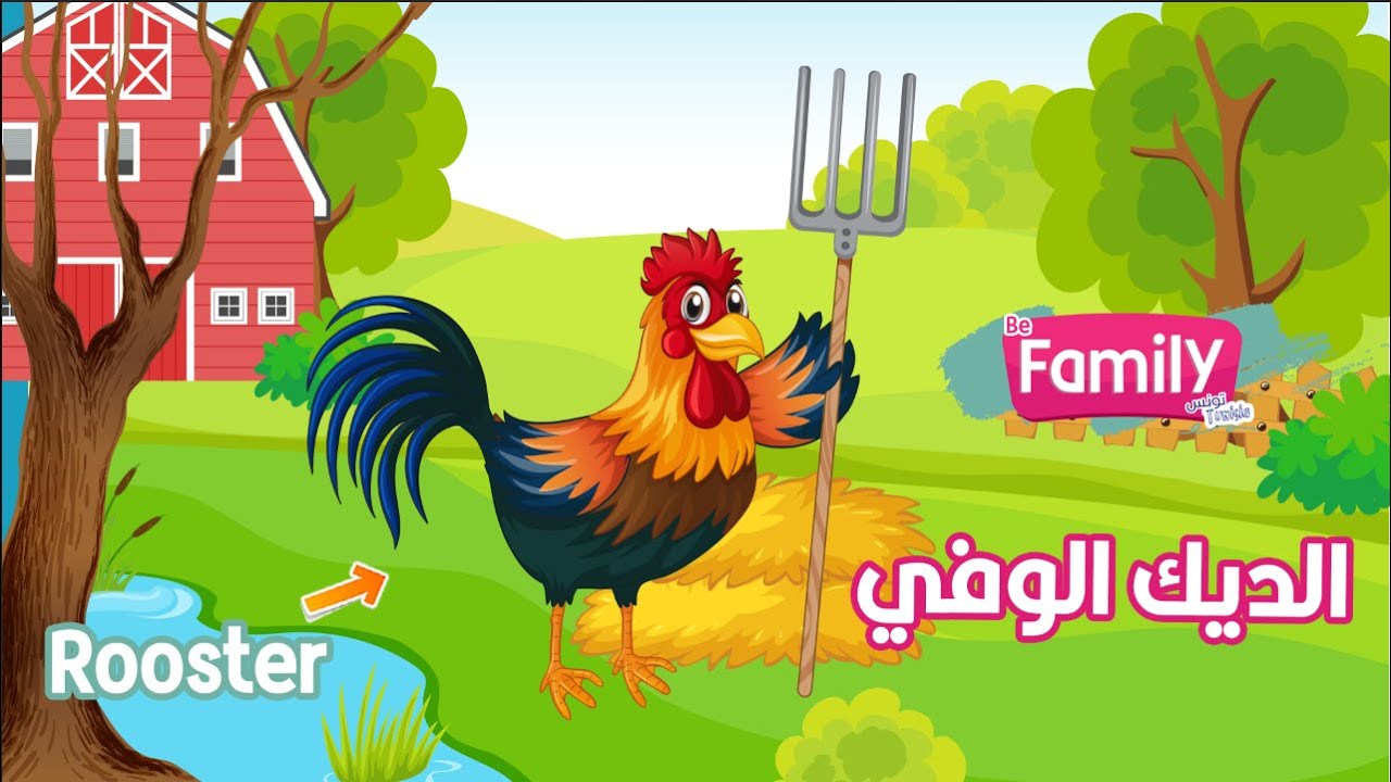 قصة الديك الوفي  || Loyal Rooster