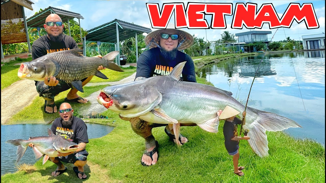 FISHING IN VIETNAM FOR GIANT FISH| MEKONG CATFISH | SIAMESE CARP|