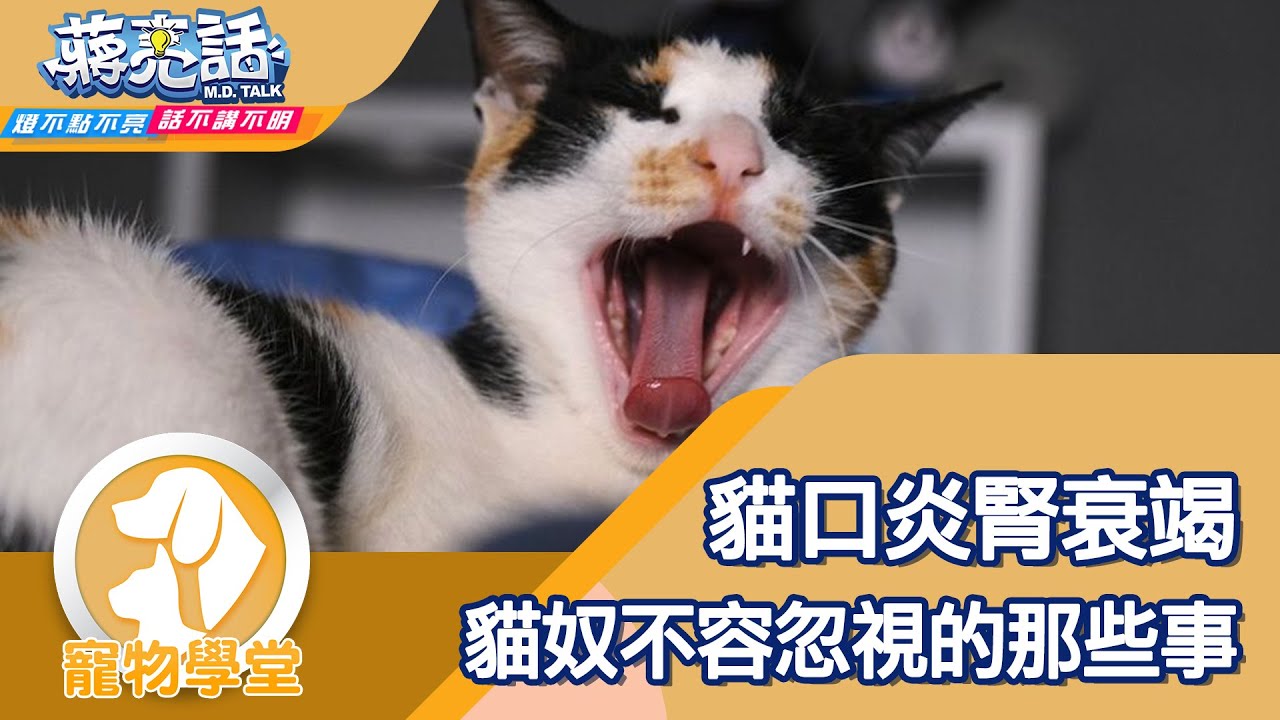 常見又棘手的貓口炎 貓奴不容忽視 【蔣亮話】寵物學堂 20250712｜Sunshine Veterinary Care 陽光寵物醫院負責人 Dr. Zonram Liao, DVM