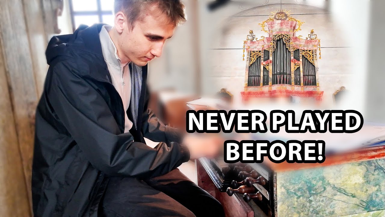 The MOST BEAUTIFUL organ you've never heard!