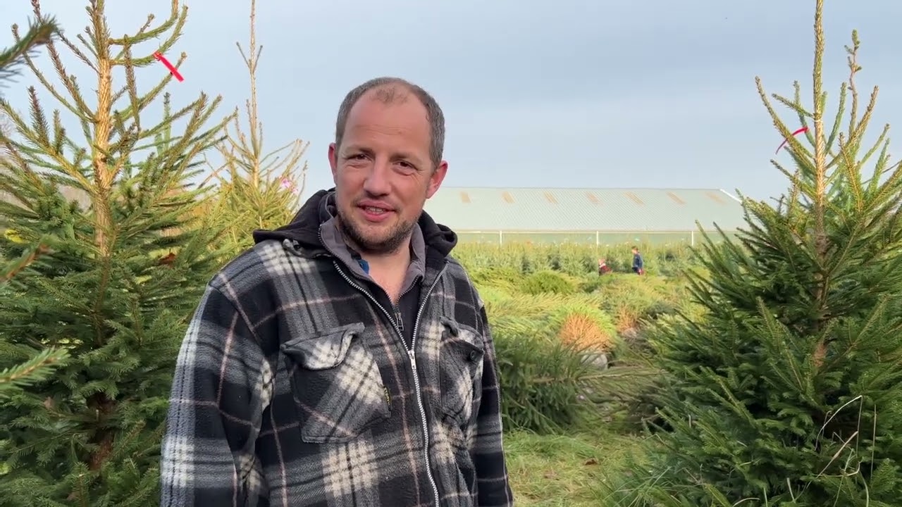 2024 achter de schermen boomkwekerij de Bruin kerstbomen
