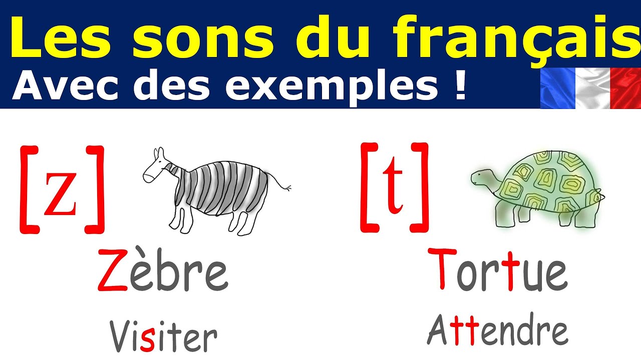 FLE. Prononciation française. Les sons du français illustrés.