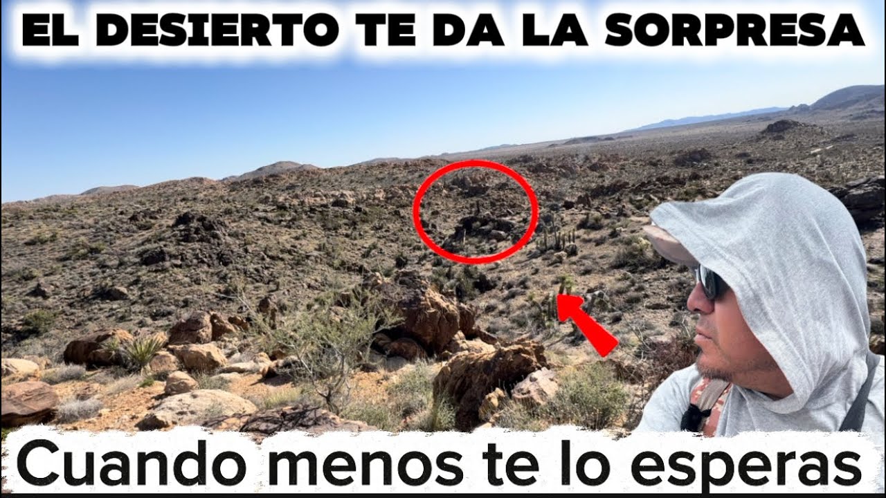 El desierto te da la sorpresa cuando menos te lo esperas 