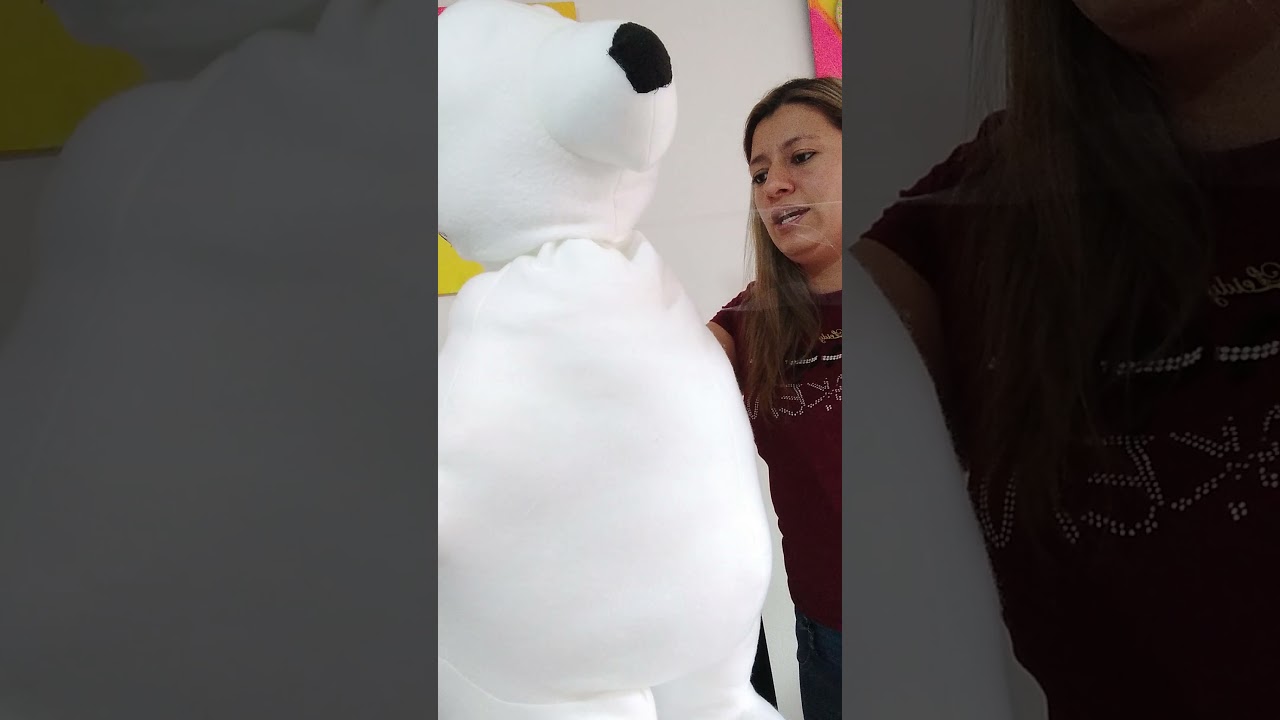 oso polar