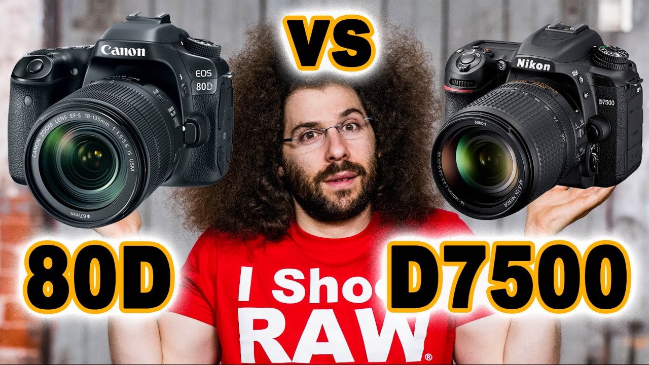 CANON 80D vs Nikon D7500: Which to buy