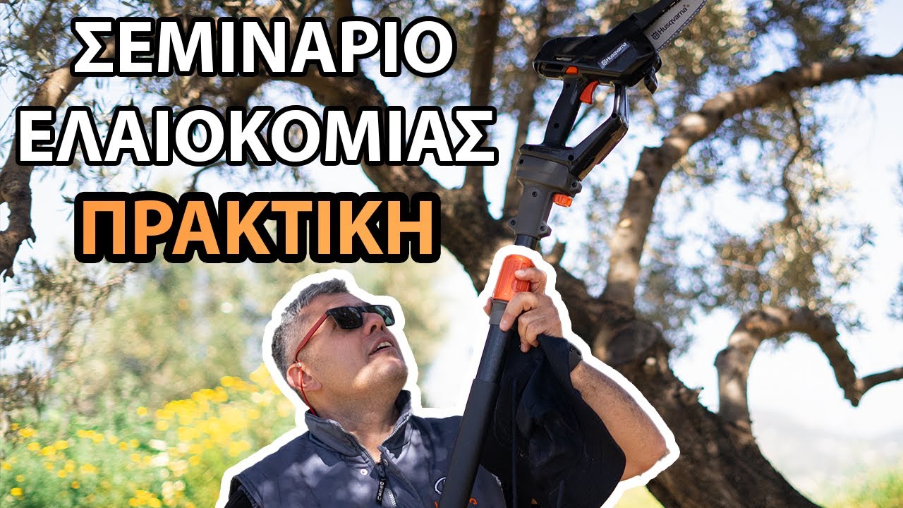 Το Κλάδεμα της Ελιάς! #2 Πράξη | Γεωπόνος Σαμούτης Θεόδωρος MSc