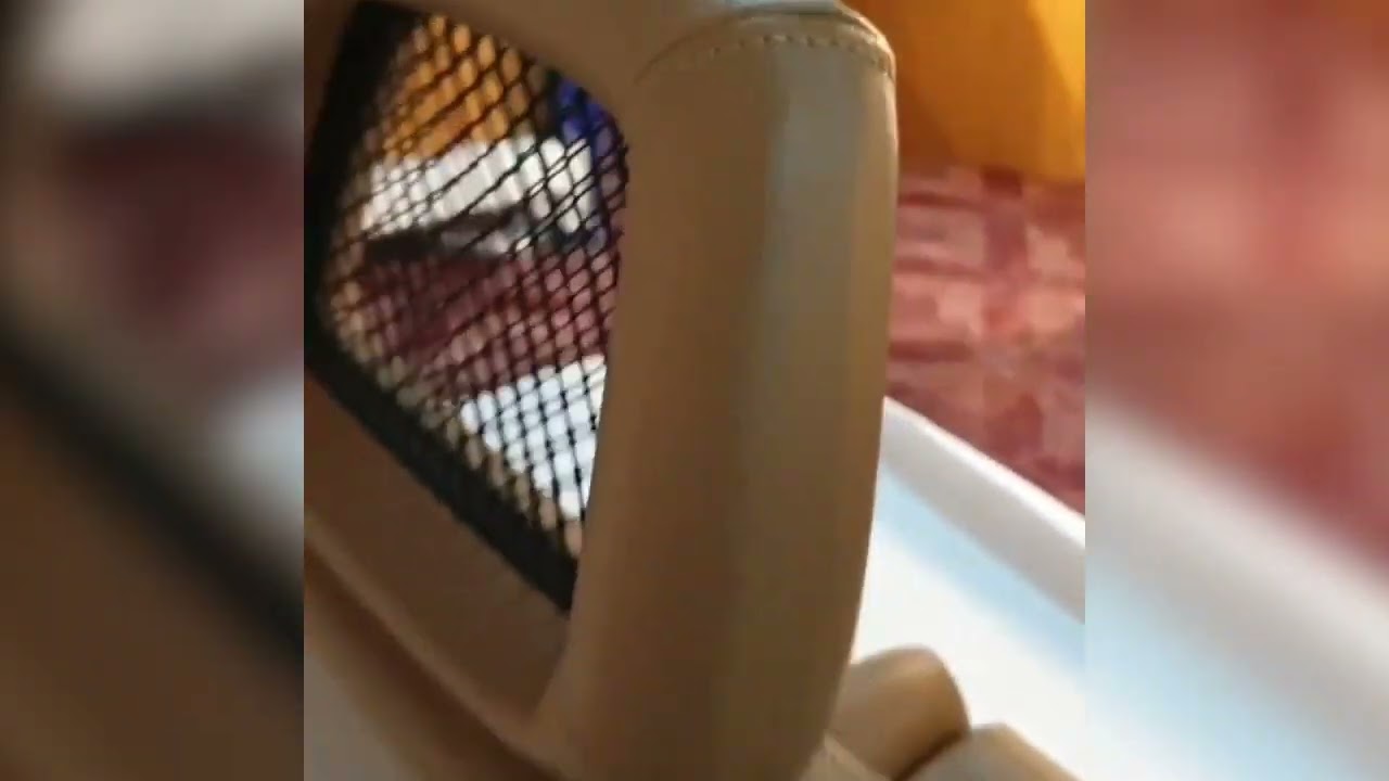 Used Recaro Lx grommet tan leather Fishnet headrest racing seats cars