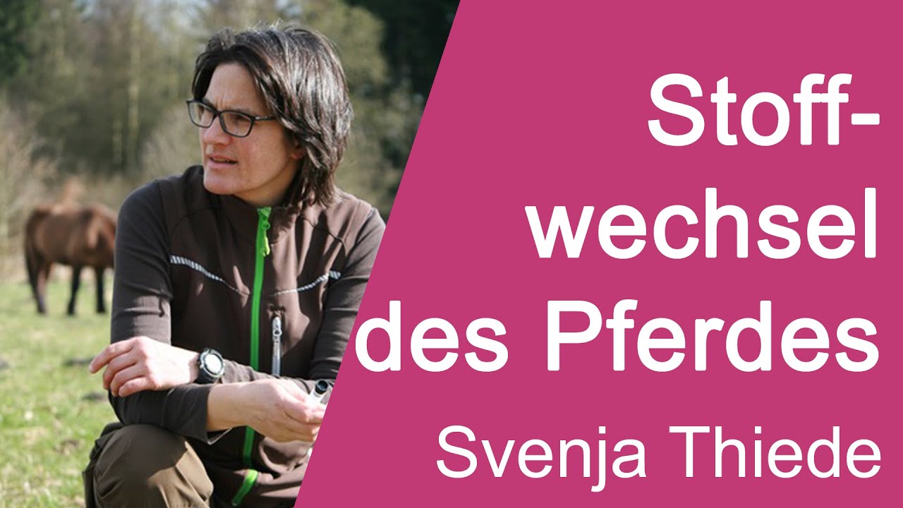 Svenja Thiede - Stoffwechsel des Pferdes - Teil 1 - CHS2020