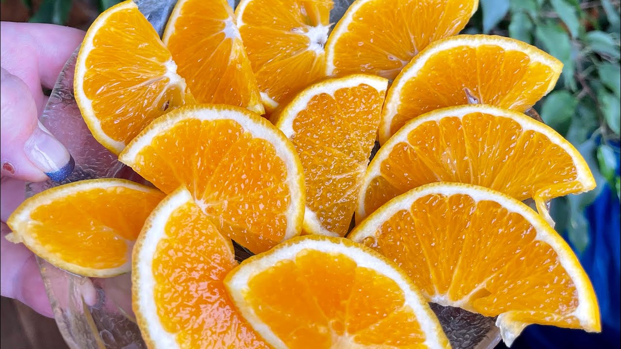 Апельсин 🍊 Четыре сезона C.sinensis Quattro stagioni, дегустация .