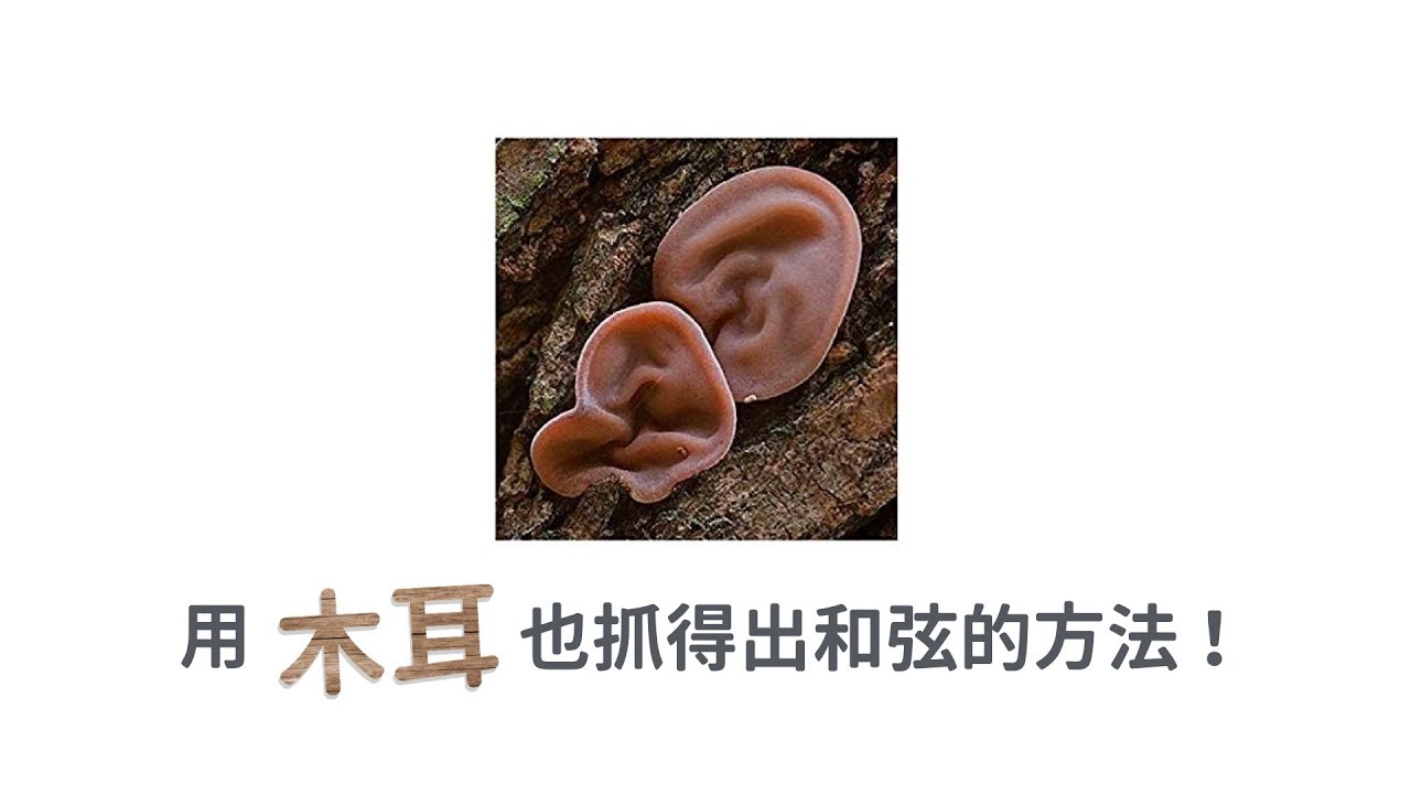 只有木耳，也可以抓出歌曲裡的和弦嗎？