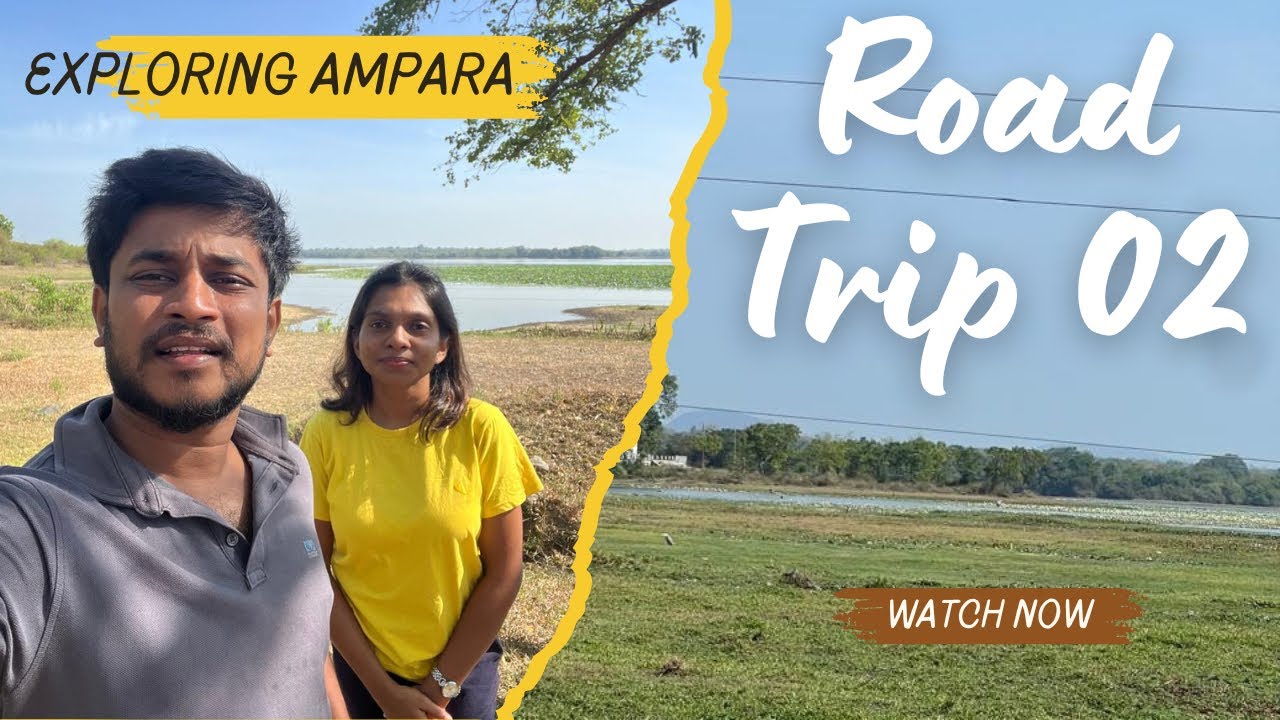අලි ඉන්න කැලේ මැදින් මහ රෑ බුද්ධංගලට  | Ampara | Sri Lanka | Road Trip ll