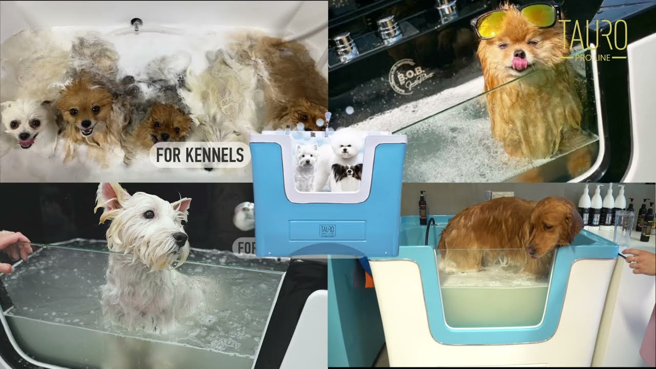 Tauro Pro Line Ozone Bath with B.O.B. Technology &ndash; The Only One in The World!