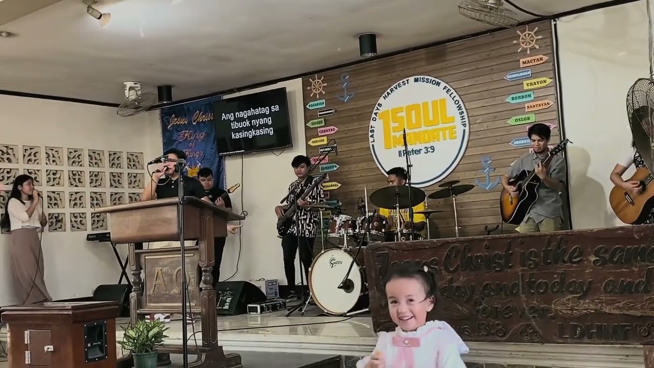 Halad - Ambassador (Live Cover)