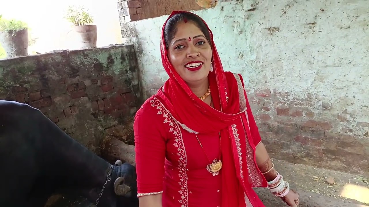 Bhains Ko Pani pila rahi hun 🥰🫢🫣🥰