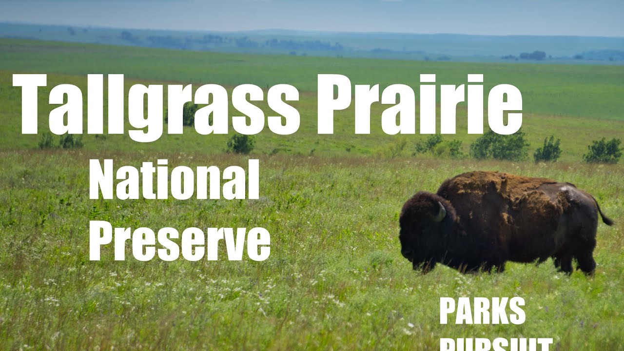 Hiking Tallgrass Prairie National Preserve!