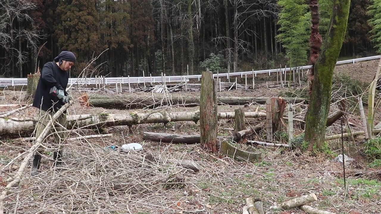 銀杏の枝を剪定はさみで細かくし、焼却して畑作りを進めていく