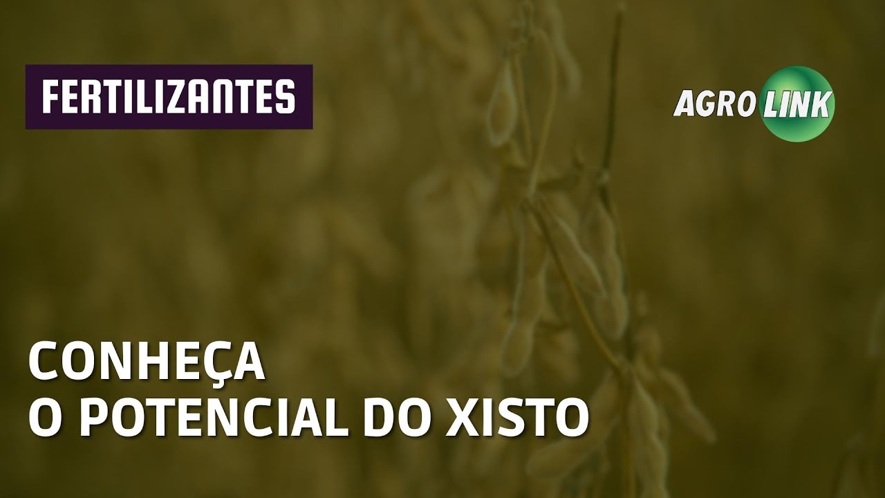 XISTO: mineral potencializa nutrientes na lavoura