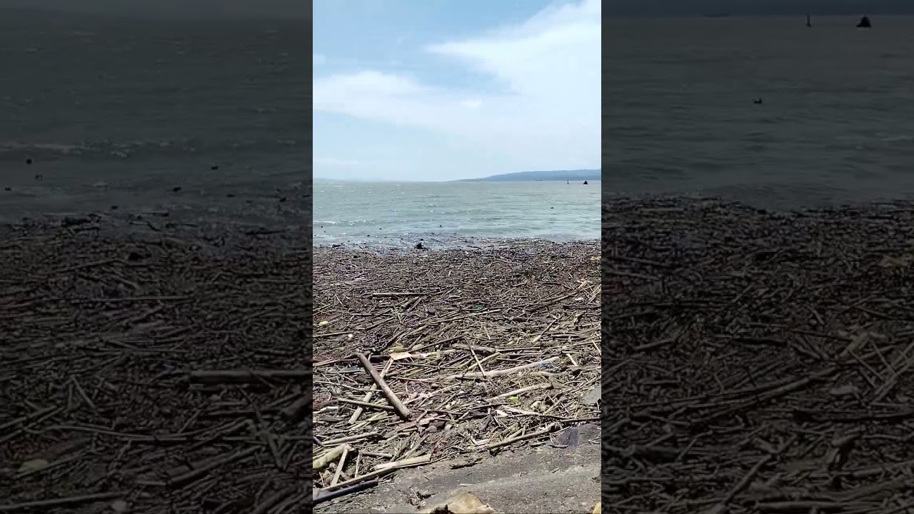 Typhoon Paeng Aftermath