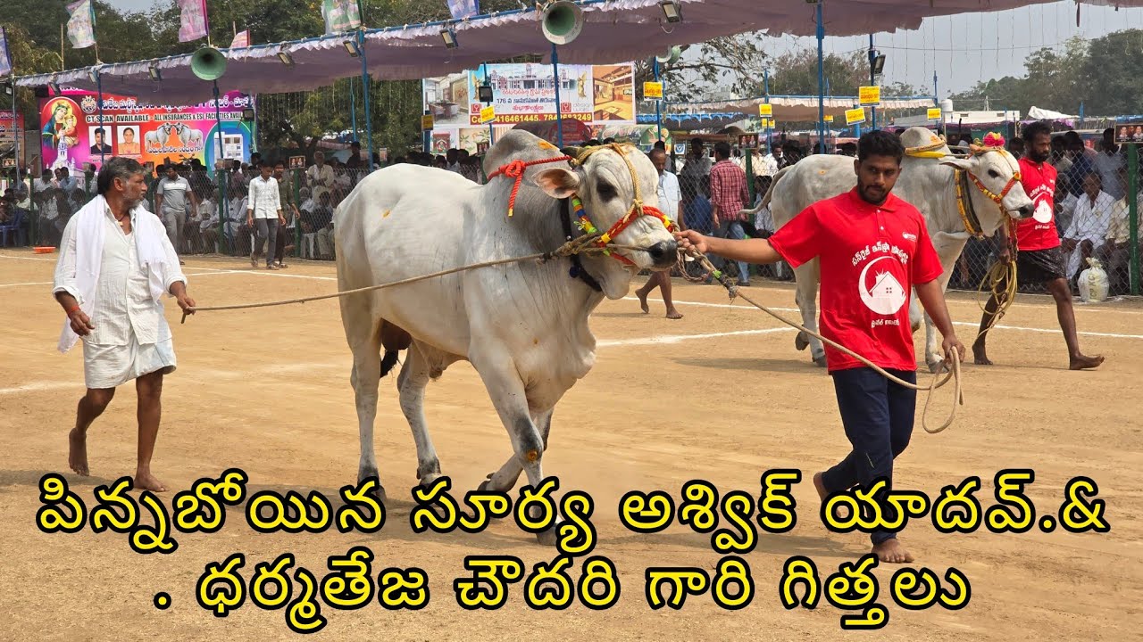 రెంటచింతల న్యూ కేటగిరి 4జత. పిన్నబోయిన సూర్య అశ్విక్ యాదవ్.&. ధర్మతేజ చౌదరి గారు సత్తెనపల్లి