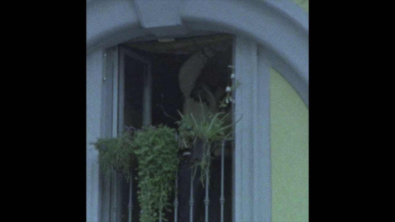 surrenderdorothy - thebestversionofmyself