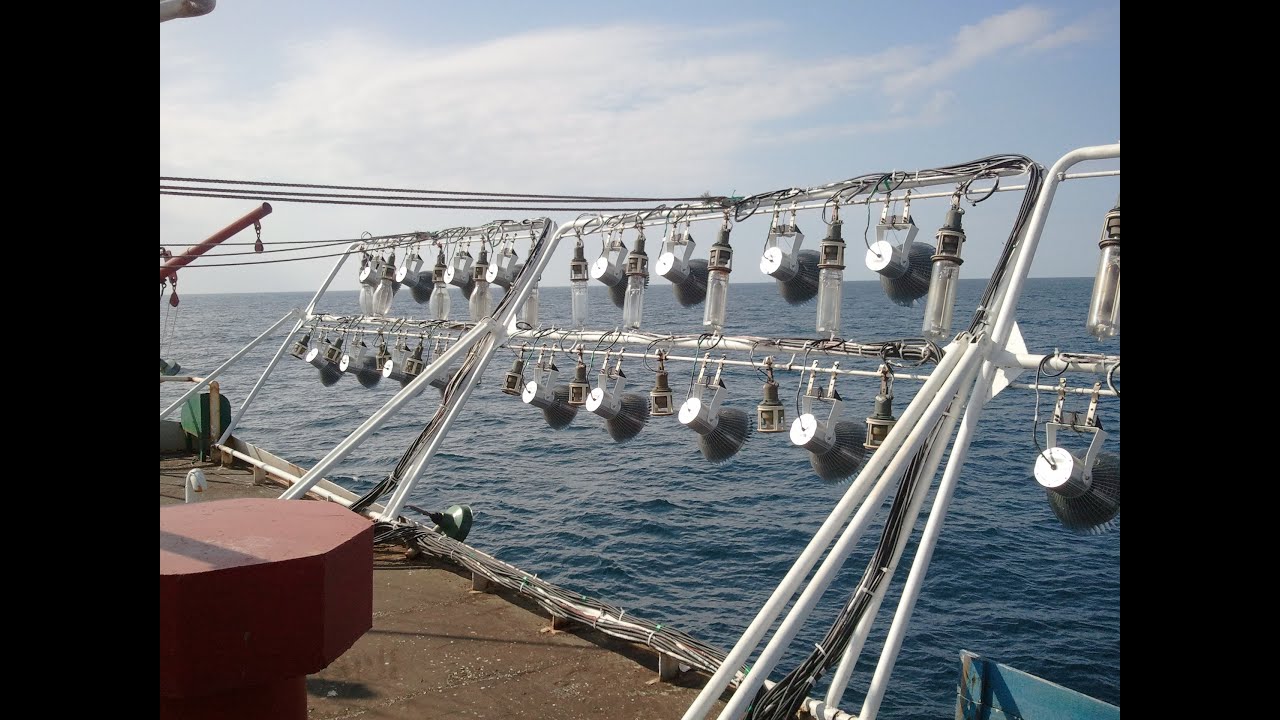 The video of Led fishing light test in ocean  2