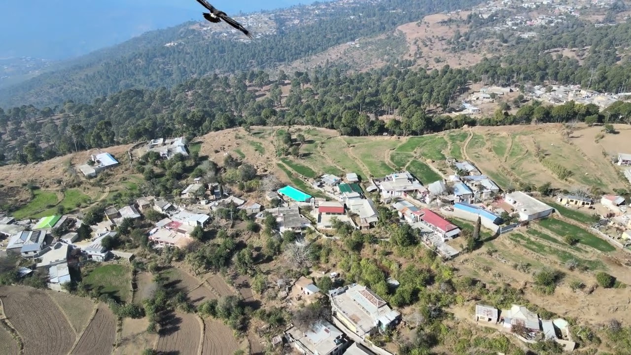 Village | Vlog | Karore Valley 