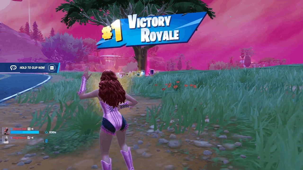 Fortnite Chapter 7 Season 1 Dub #14