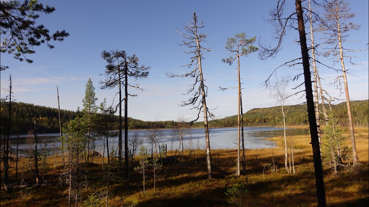 Besök i Björnlandets Nationalpark med vandring på Svärmorsleden