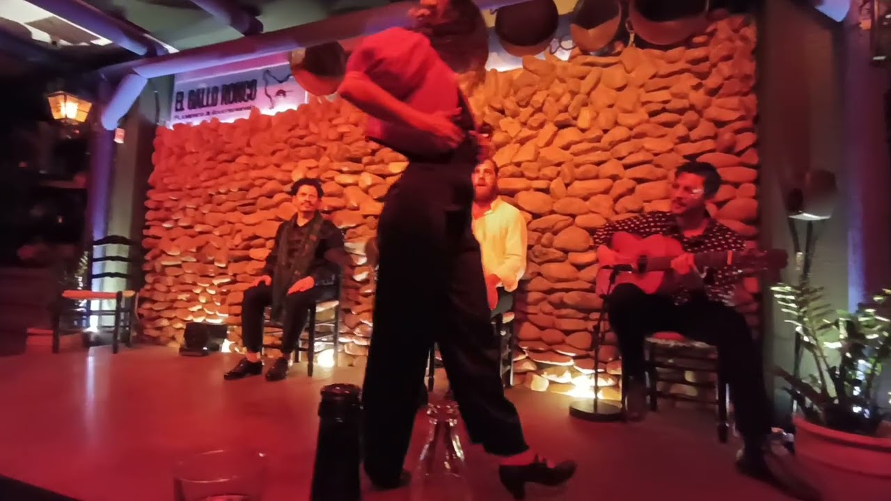 #ElGalloRonco, flamenco para mí cumpleaños en Málaga 
