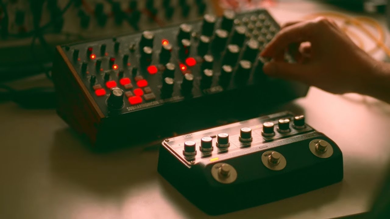 Moog Subharmonicon + Boss DM101 // Analog does it better.