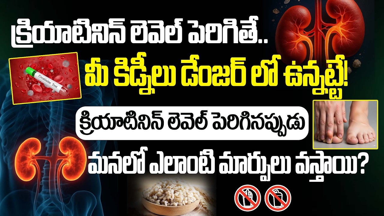 ఇది పెరిగితే.. మీ కిడ్నీలు డేంజర్ లో ఉన్నట్టే! | High Creatinine Causes, Symptoms | Kidney Health