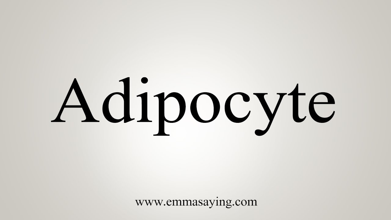 How To Say Adipocyte