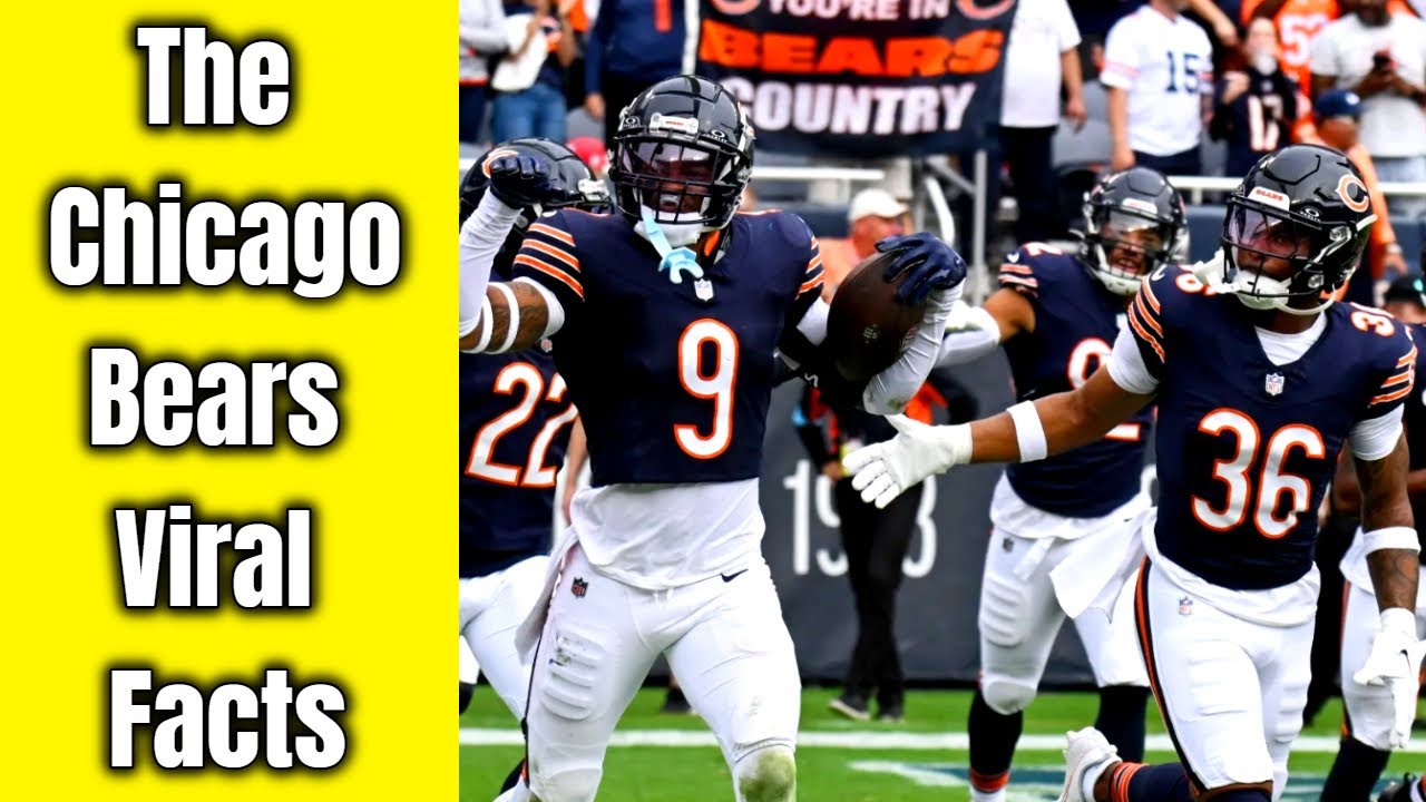 The Chicago Bears Viral Facts | The Chicago Bears Viral Facts & Figures