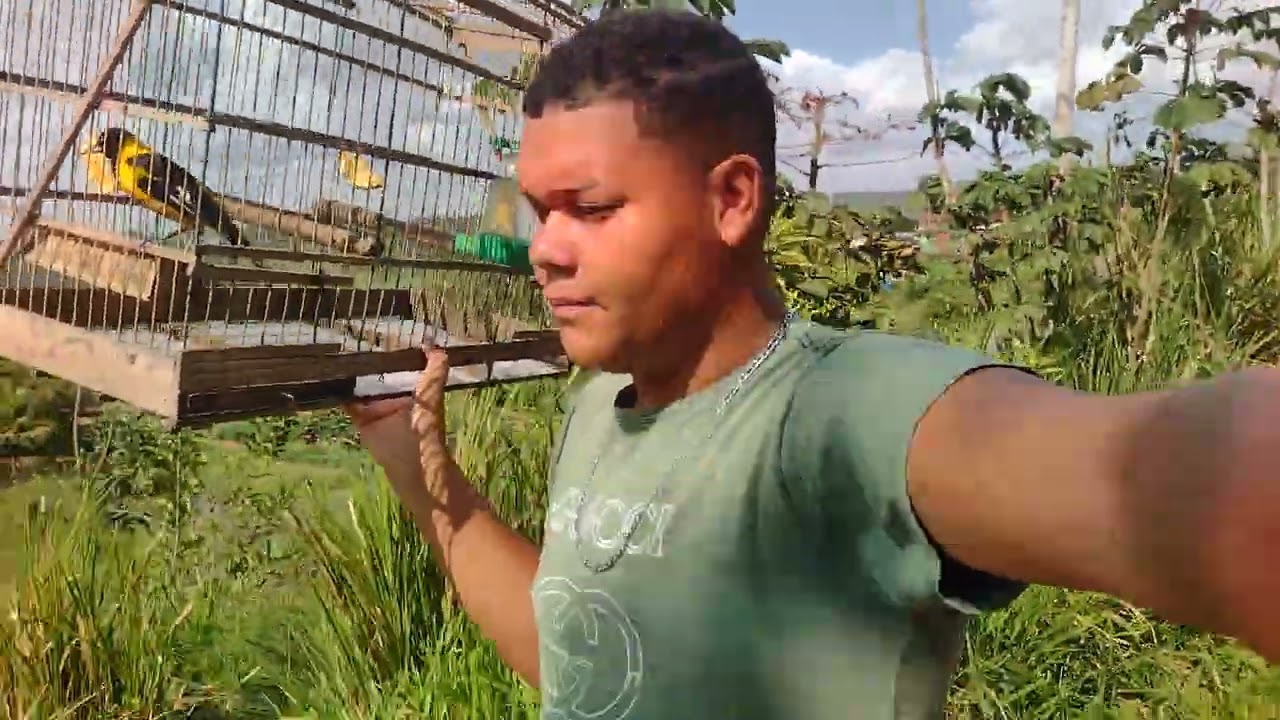 Fui andar com o corrupião