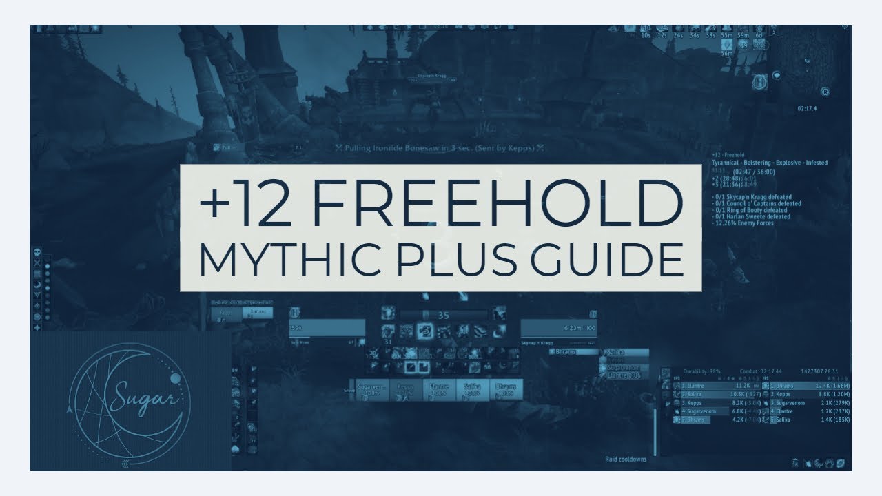 +12 Freehold Mythic Plus Guide & Route