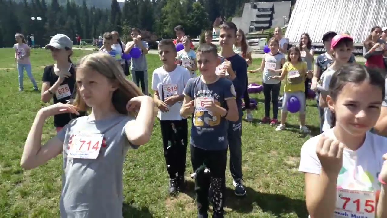 MITROVAC NA TARI, IV-4, OSNOVNA ŠKOLA 