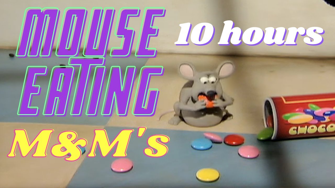 Mouse Eating M&M&rsquo;s 10 Hours