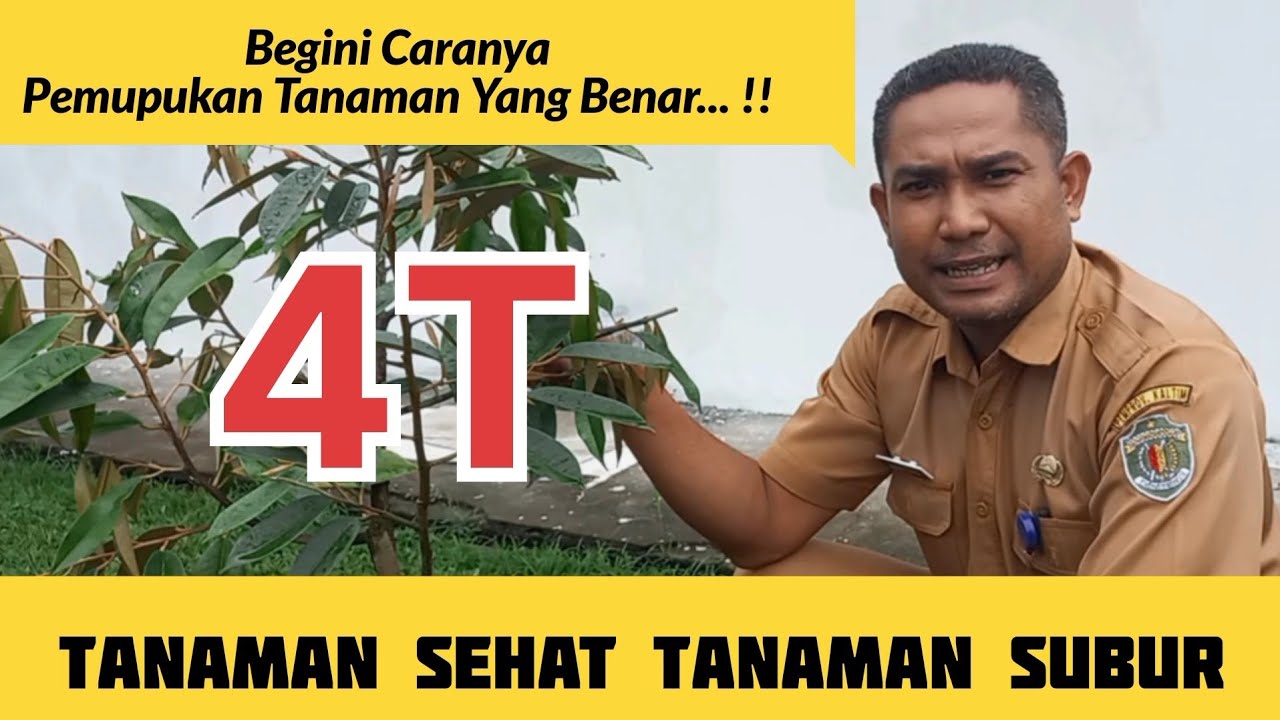 CARA PEMUPUKAN DURIAN YANG TEPAT