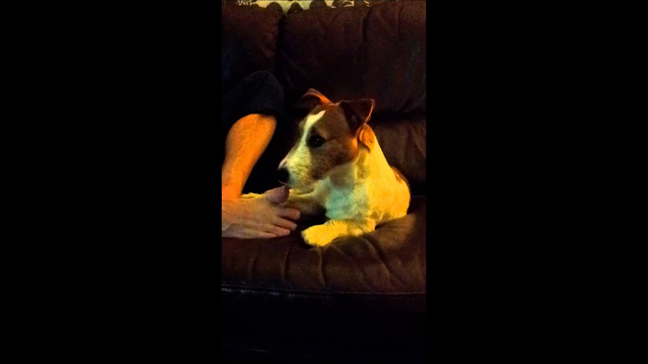 BUSTER giving his dad a pedicure