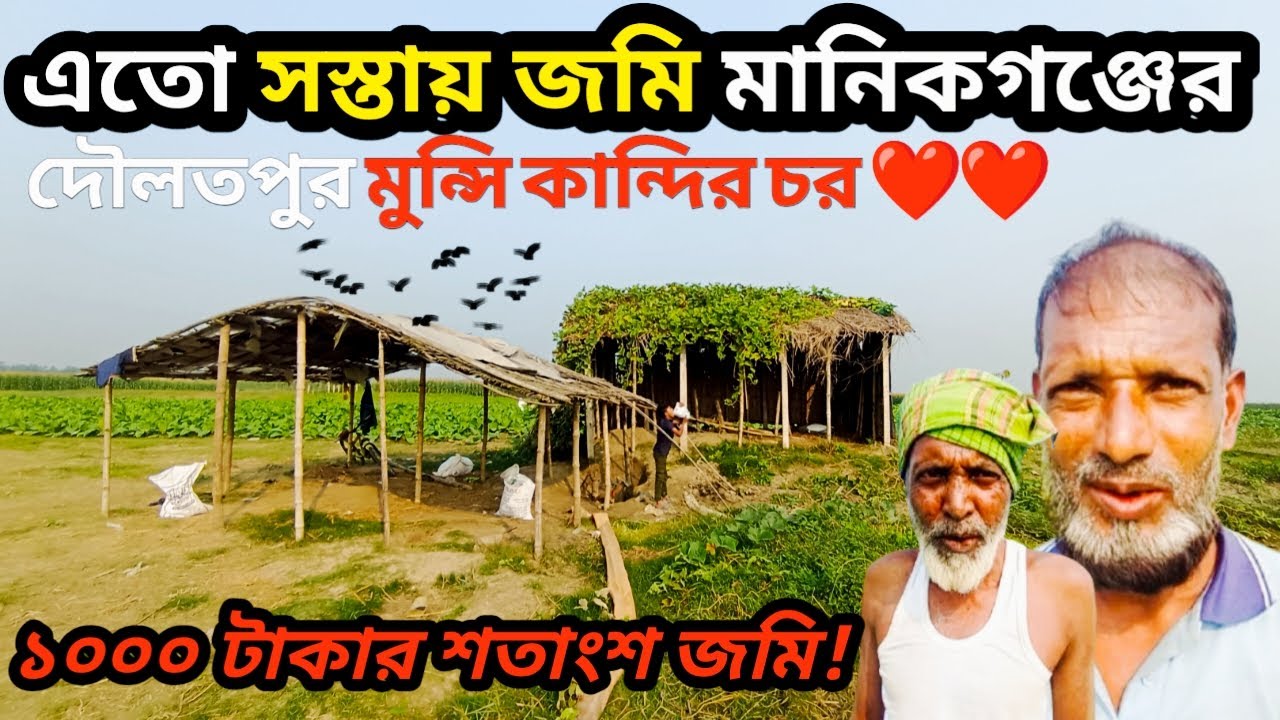 ১০০০ টাকা শতাংশ জমি মানিকগঞ্জ দৌলতপুর মুন্সীকান্দির চর!গরু ফারাম বাড়ি করার উপযোগী village life in BD