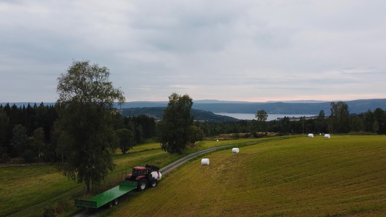 2021 Year of farming
