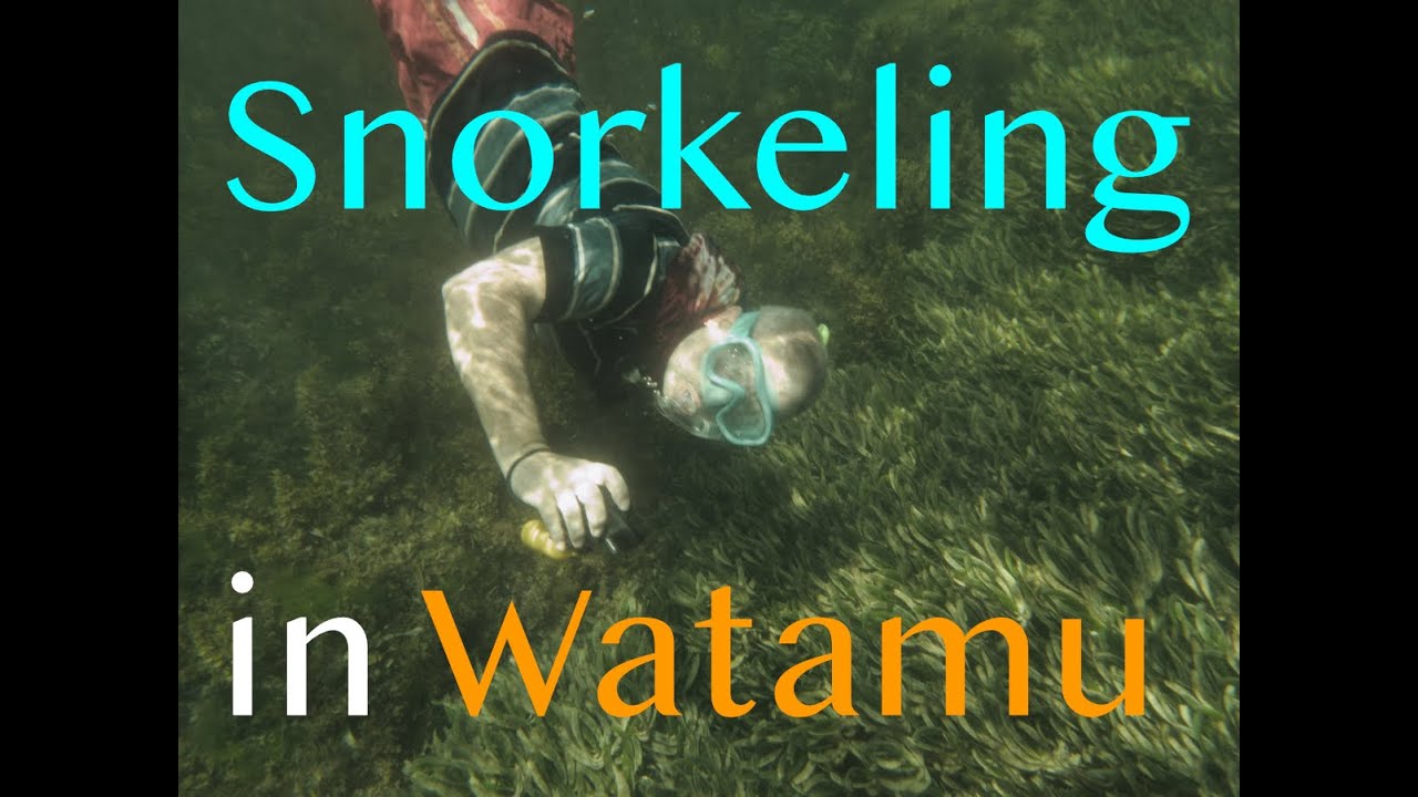 Snorkeling in Watamu in 4K (2022)