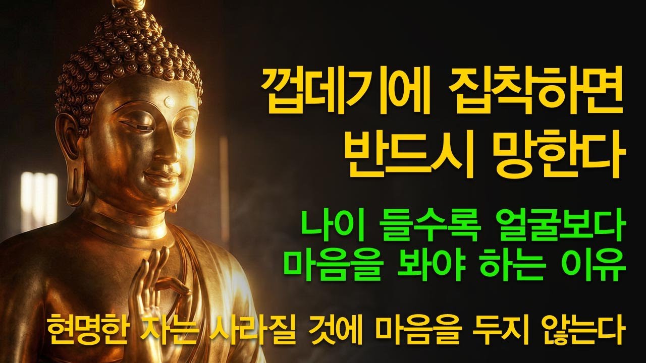 나이 들어서도 껍데기에 집착하면 남은 인생이 괴롭습니다 부처님말씀 I 집착 내려놓기 I 마음공부 I 불면증 해소 I 수면명상 I 인생조언 I 힐링