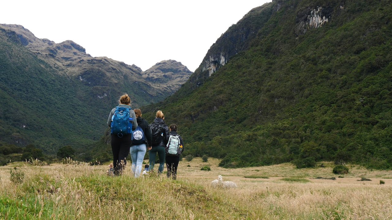UVM Travel Study: Ecuador's P&aacute;ramo Grasslands