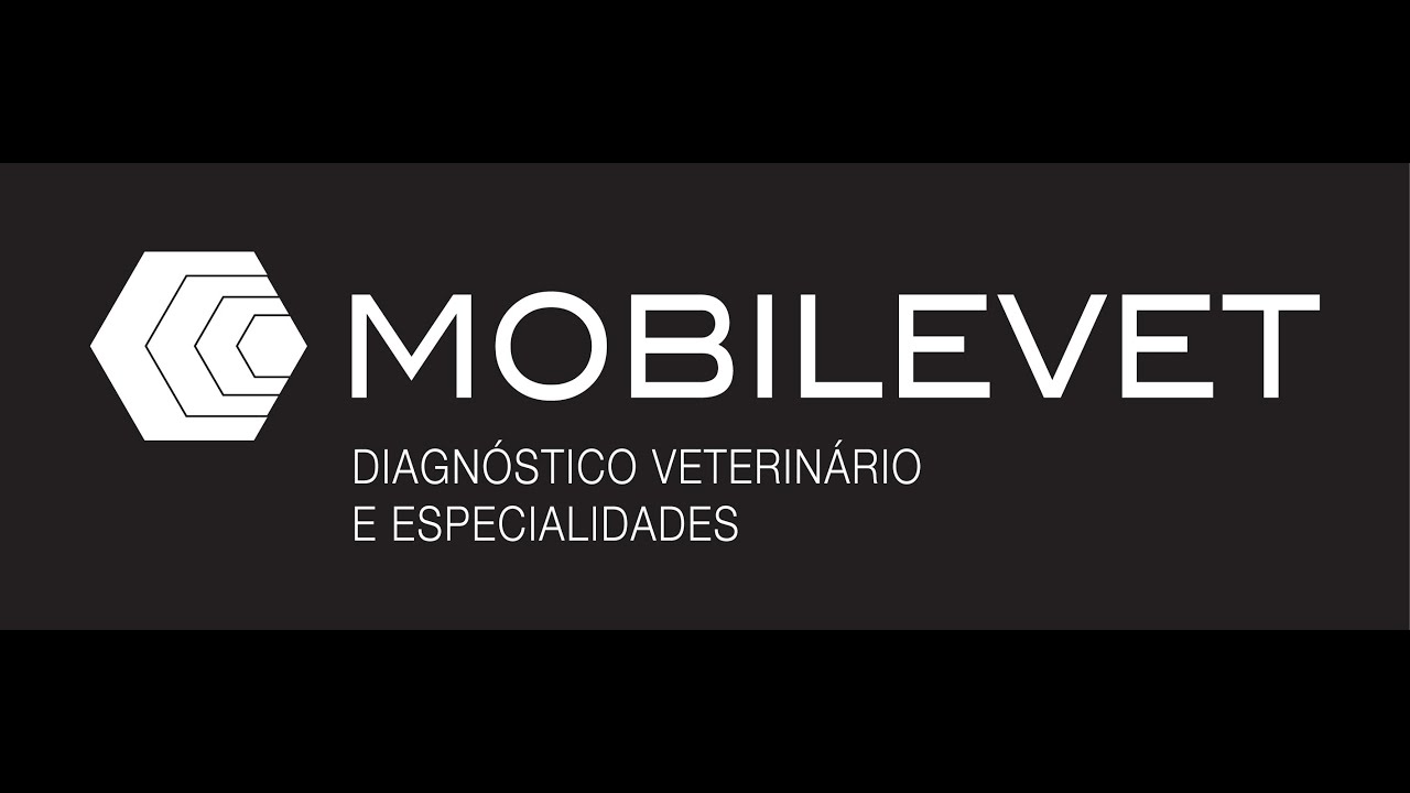 Caso corriqueiro e decisão terapêutica em doença crônica de valva mitral B2 avançado.