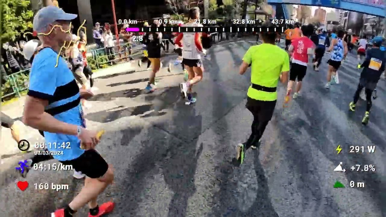 東京馬拉松 Tokyo Marathon 2024 (virtual running)