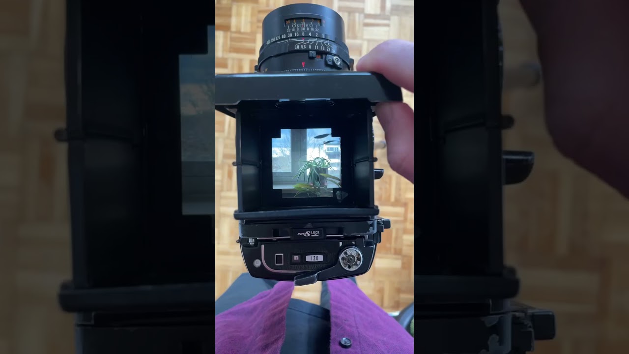 マミヤRB67についての簡単な説明📷 #mamiya #filmphotography #mediumformat #short